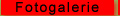 Fotogalerie